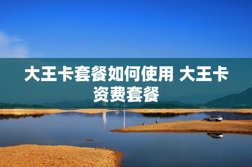 大王卡套餐如何使用 大王卡资费套餐