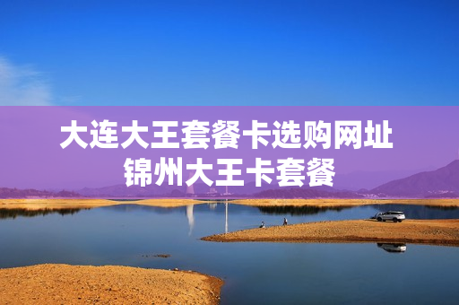 大连大王套餐卡选购网址 锦州大王卡套餐