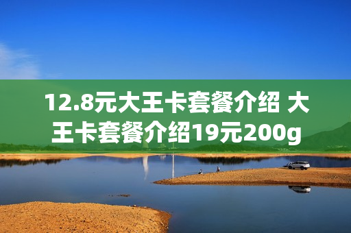 12.8元大王卡套餐介绍 大王卡套餐介绍19元200g