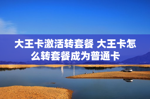 大王卡激活转套餐 大王卡怎么转套餐成为普通卡