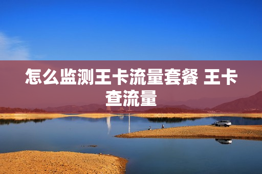 怎么监测王卡流量套餐 王卡查流量