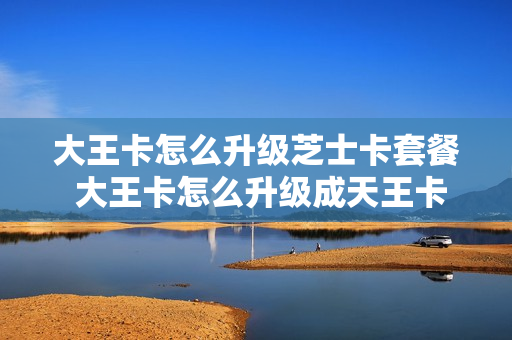 大王卡怎么升级芝士卡套餐 大王卡怎么升级成天王卡