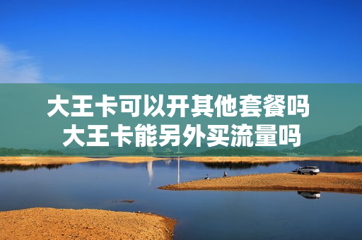 大王卡可以开其他套餐吗 大王卡能另外买流量吗