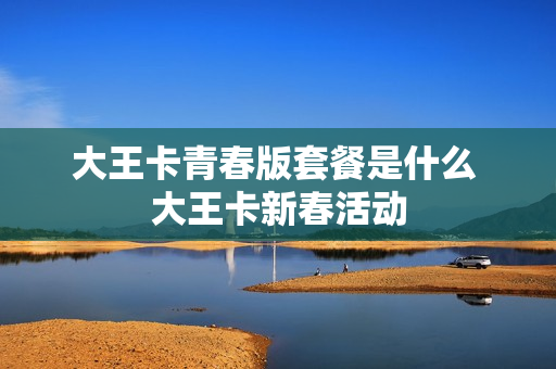 大王卡青春版套餐是什么 大王卡新春活动