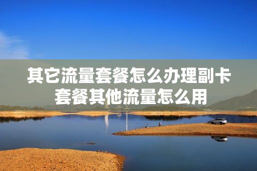 其它流量套餐怎么办理副卡 套餐其他流量怎么用