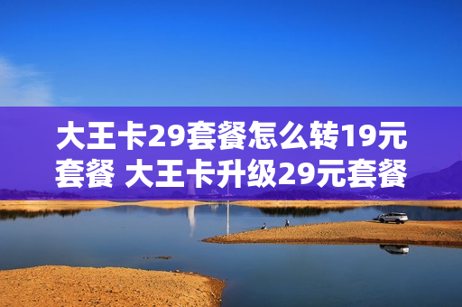 大王卡29套餐怎么转19元套餐 大王卡升级29元套餐