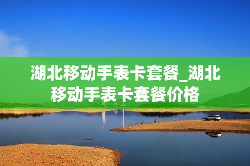湖北移动手表卡套餐_湖北移动手表卡套餐价格