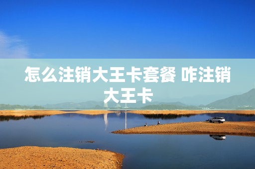 怎么注销大王卡套餐 咋注销大王卡