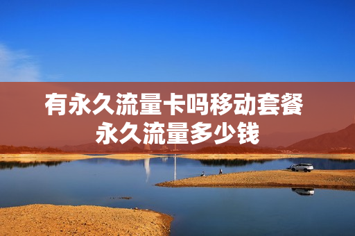 有永久流量卡吗移动套餐 永久流量多少钱