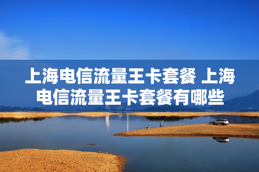 上海电信流量王卡套餐 上海电信流量王卡套餐有哪些