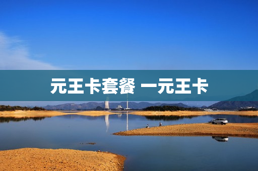 元王卡套餐 一元王卡