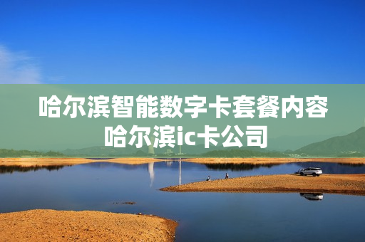 哈尔滨智能数字卡套餐内容 哈尔滨ic卡公司