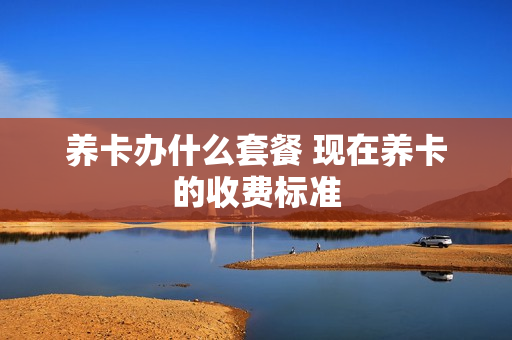 养卡办什么套餐 现在养卡的收费标准