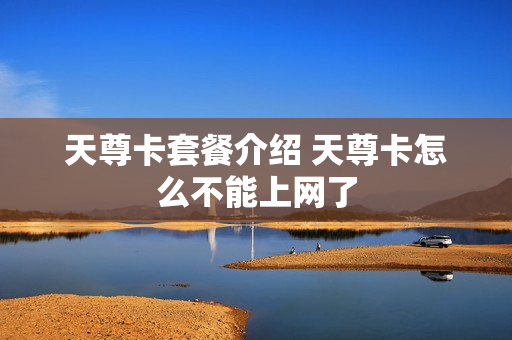 天尊卡套餐介绍 天尊卡怎么不能上网了