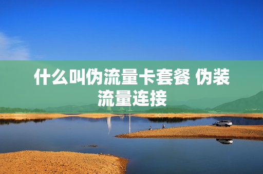 什么叫伪流量卡套餐 伪装流量连接
