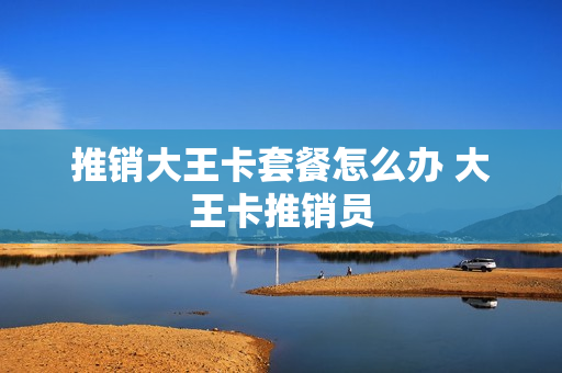 推销大王卡套餐怎么办 大王卡推销员