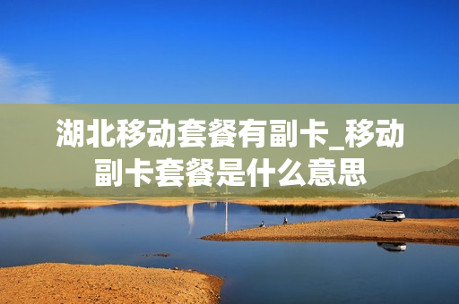湖北移动套餐有副卡_移动副卡套餐是什么意思