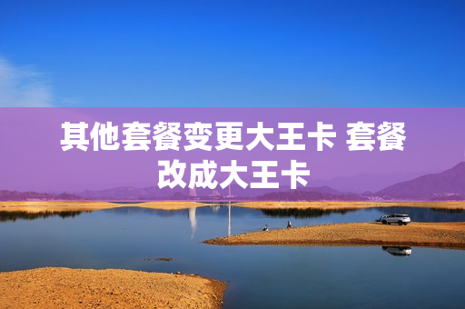 其他套餐变更大王卡 套餐改成大王卡