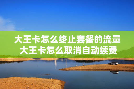 大王卡怎么终止套餐的流量 大王卡怎么取消自动续费的套餐