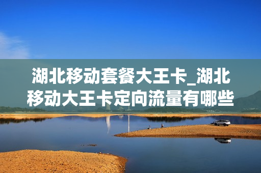 湖北移动套餐大王卡_湖北移动大王卡定向流量有哪些app