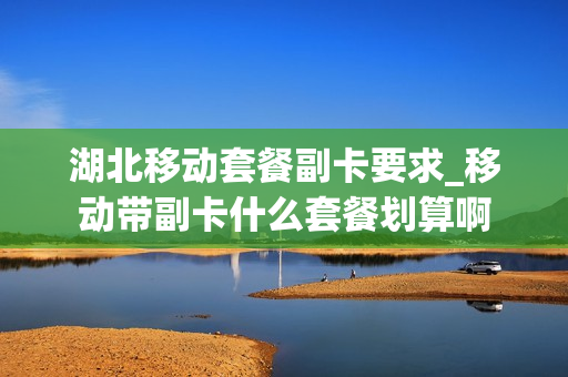 湖北移动套餐副卡要求_移动带副卡什么套餐划算啊