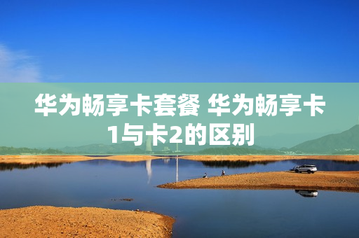 华为畅享卡套餐 华为畅享卡1与卡2的区别