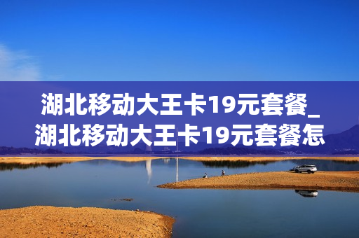 湖北移动大王卡19元套餐_湖北移动大王卡19元套餐怎么取消