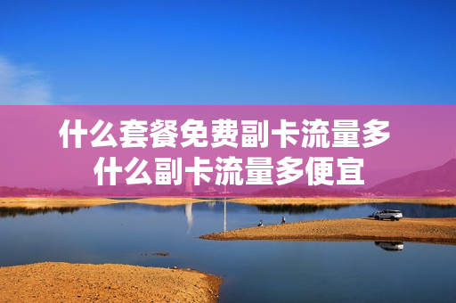 什么套餐免费副卡流量多 什么副卡流量多便宜