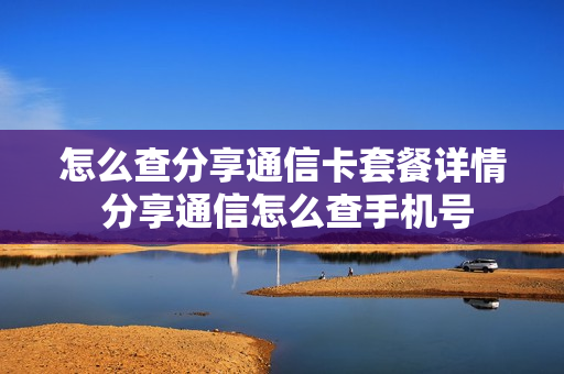 怎么查分享通信卡套餐详情 分享通信怎么查手机号