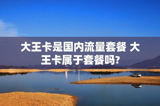 大王卡是国内流量套餐 大王卡属于套餐吗?