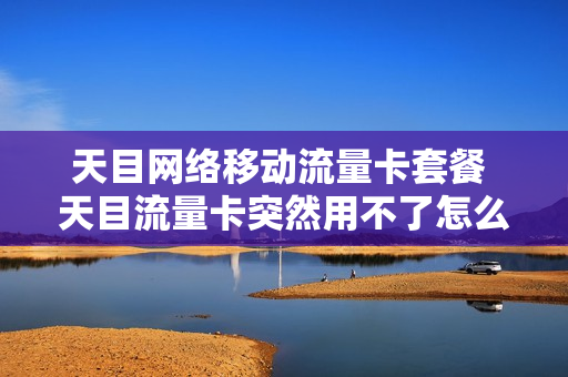 天目网络移动流量卡套餐 天目流量卡突然用不了怎么办