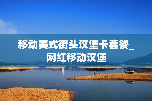 移动美式街头汉堡卡套餐_网红移动汉堡