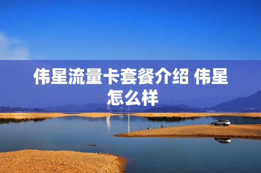 伟星流量卡套餐介绍 伟星 怎么样