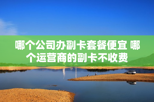 哪个公司办副卡套餐便宜 哪个运营商的副卡不收费