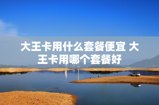 大王卡用什么套餐便宜 大王卡用哪个套餐好