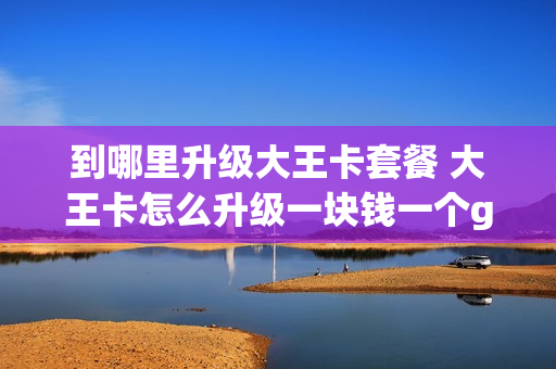 到哪里升级大王卡套餐 大王卡怎么升级一块钱一个g