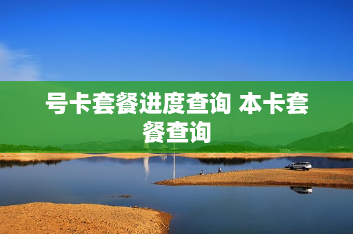 号卡套餐进度查询 本卡套餐查询