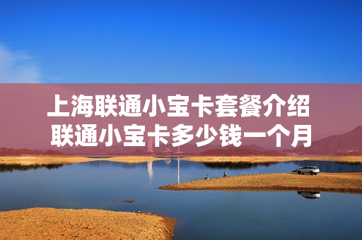 上海联通小宝卡套餐介绍 联通小宝卡多少钱一个月