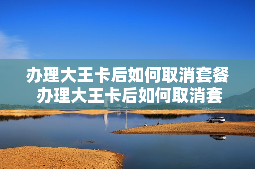 办理大王卡后如何取消套餐 办理大王卡后如何取消套餐流量
