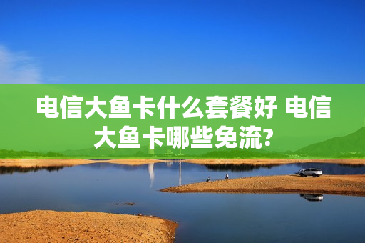 电信大鱼卡什么套餐好 电信大鱼卡哪些免流?