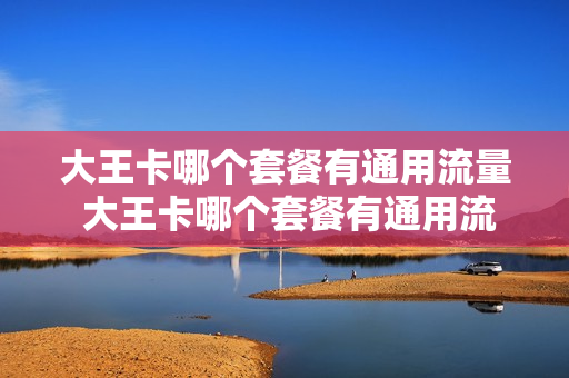 大王卡哪个套餐有通用流量 大王卡哪个套餐有通用流量包