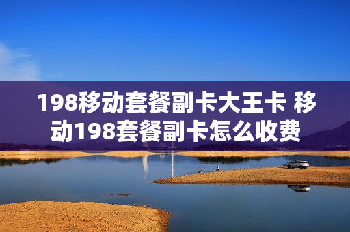 198移动套餐副卡大王卡 移动198套餐副卡怎么收费