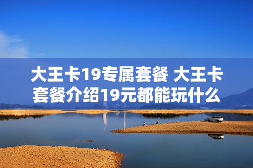 大王卡19专属套餐 大王卡套餐介绍19元都能玩什么