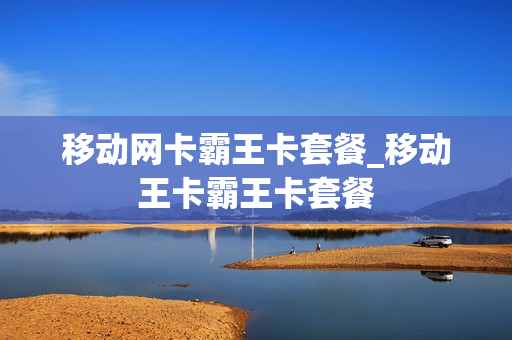 移动网卡霸王卡套餐_移动王卡霸王卡套餐