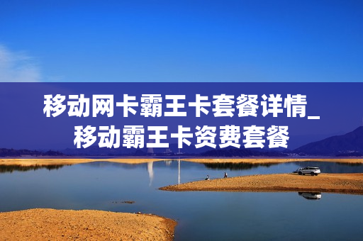 移动网卡霸王卡套餐详情_移动霸王卡资费套餐