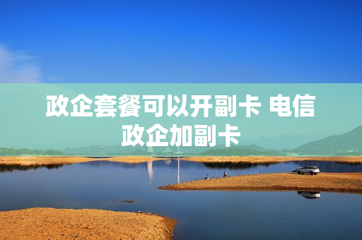 政企套餐可以开副卡 电信政企加副卡