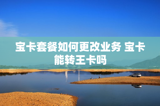 宝卡套餐如何更改业务 宝卡能转王卡吗