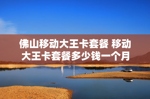 佛山移动大王卡套餐 移动大王卡套餐多少钱一个月