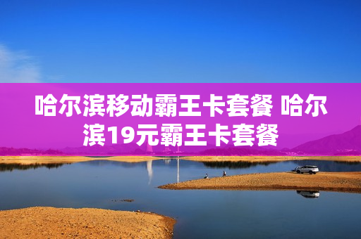 哈尔滨移动霸王卡套餐 哈尔滨19元霸王卡套餐