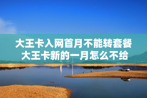 大王卡入网首月不能转套餐 大王卡新的一月怎么不给流量